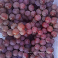 fresh red globe grapes Chinese red grapes red globe grape